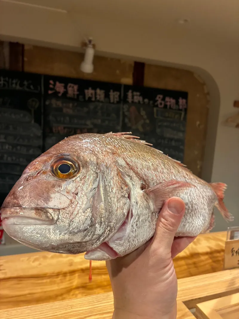 愛媛酒場ニュー丸富の写真3