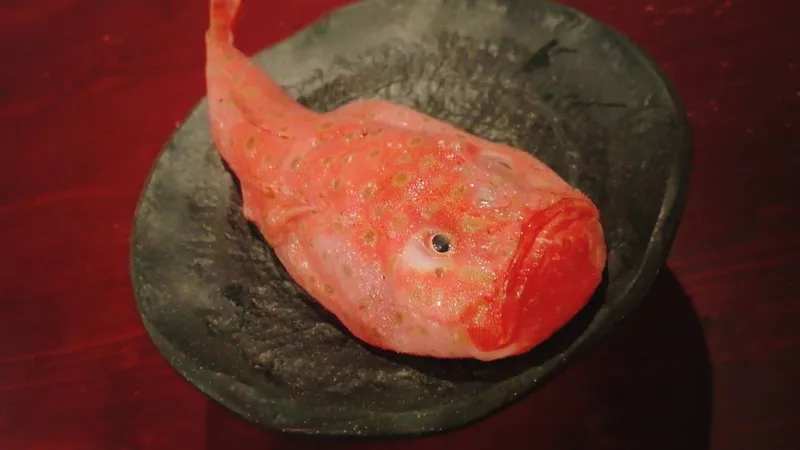 地魚と天ぷら うろこ屋の写真3